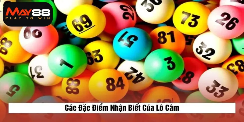 Các Đặc Điểm Nhận Biết Của Lô Câm