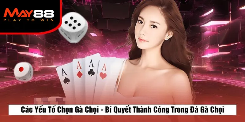 Các Yếu Tố Chọn Gà Chọi - Bí Quyết Thành Công Trong Đá Gà Chọi