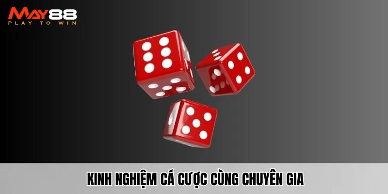 Kinh nghiệm cá cược cùng chuyên gia để thắng lớn