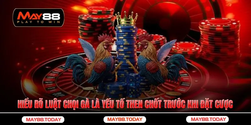 Hiểu rõ luật chọi gà là yếu tố then chốt trước khi đặt cược