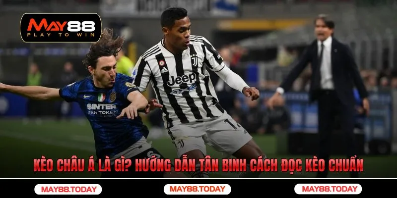 Kèo Châu Á Là Gì? Hướng Dẫn Tân Binh Cách Đọc Kèo Chuẩn