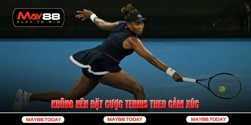 Không nên đặt cược tennis theo cảm xúc