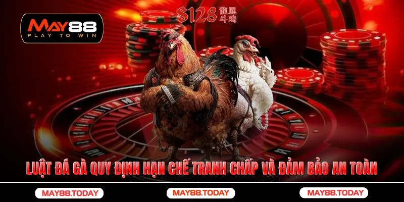 Luật đá gà được quy định để hạn chế tranh chấp và đảm bảo an toàn 