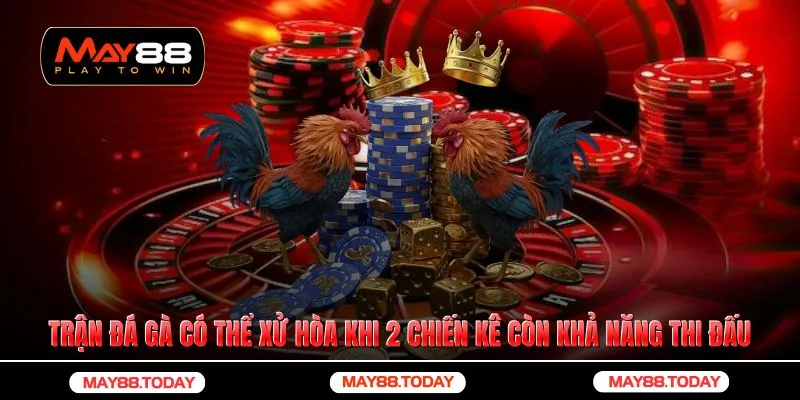 Trận đá gà có thể xử hòa khi 2 chiến kê còn khả năng thi đấu